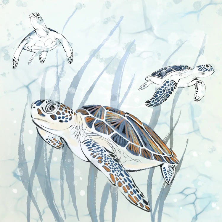 Seagrass Sea Turtles