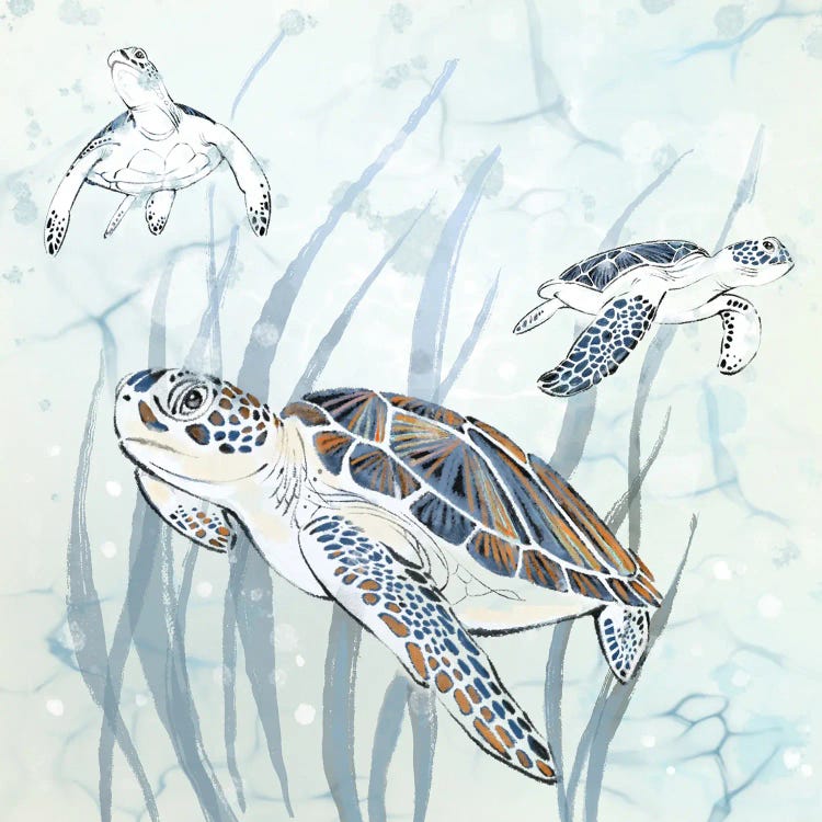 Seagrass Sea Turtles by Thomas Little wall art