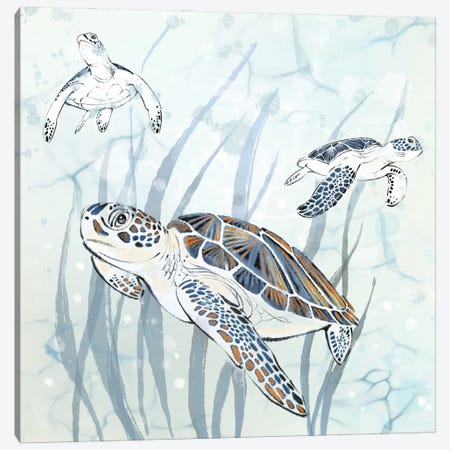Seagrass Sea Turtles Canvas Print #TLT261} by Thomas Little Canvas Print