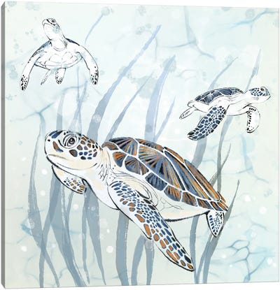 Seagrass Sea Turtles Canvas Art Print - Thomas Little