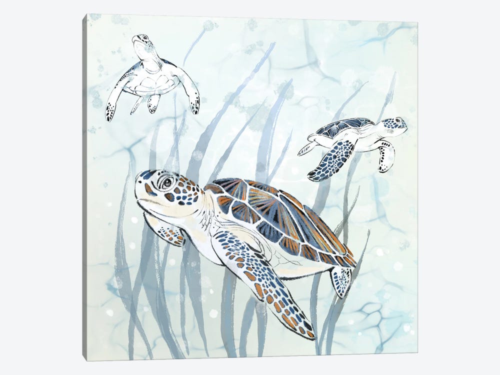 Seagrass Sea Turtles by Thomas Little 1-piece Canvas Print