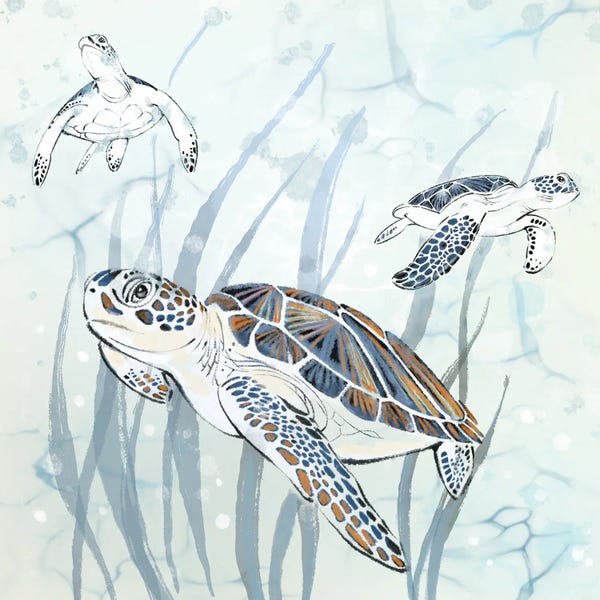 Turtles: Seagrass Sea Turtles by Thomas Little