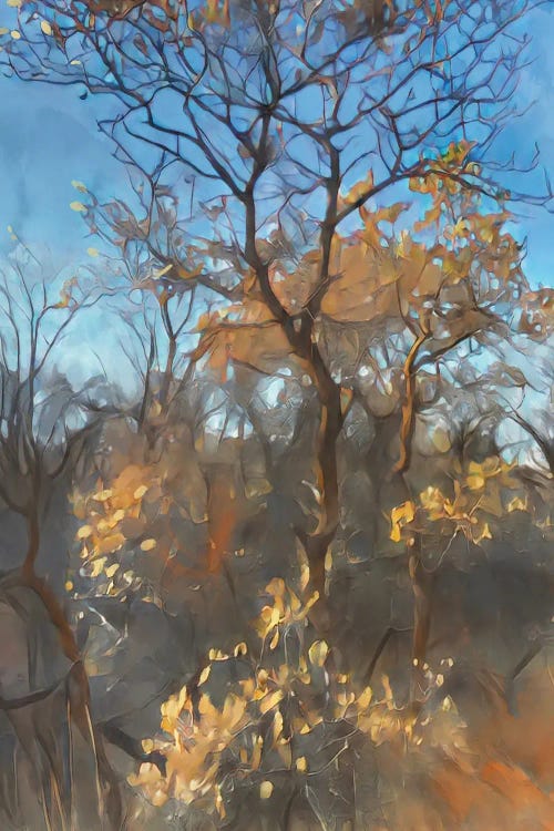 November Hills by Thomas Little wall art