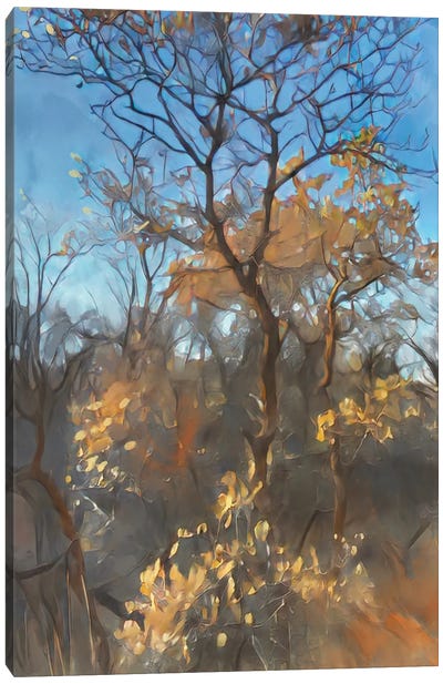 November Hills Canvas Art Print - Thomas Little