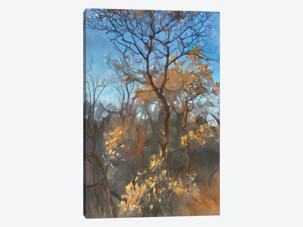 November Hills by Thomas Little 1-piece Canvas Print