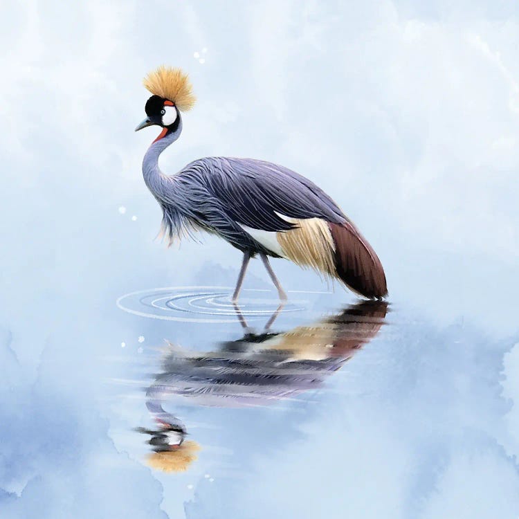 Contemplating Crane