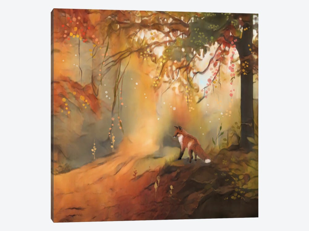 Little Fox In Mystic Forest by Thomas Little 1-piece Canvas Art
