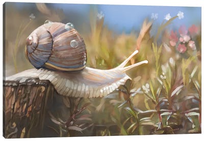 Snail's Morning Stretch Canvas Art Print - Thomas Little