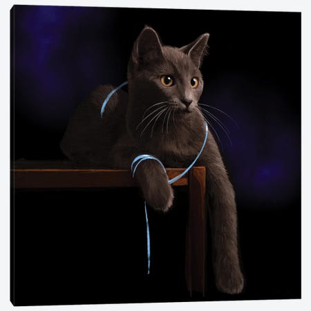 Cat Playing With A Blue Ribbon Canvas Print #TLT276} by Thomas Little Canvas Art Print
