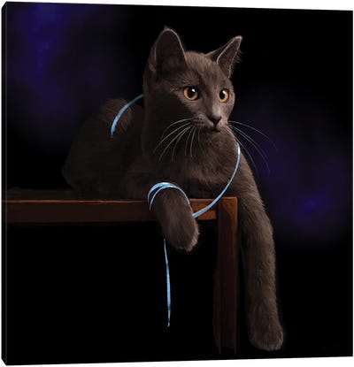Cat Playing With A Blue Ribbon Canvas Art Print - Thomas Little