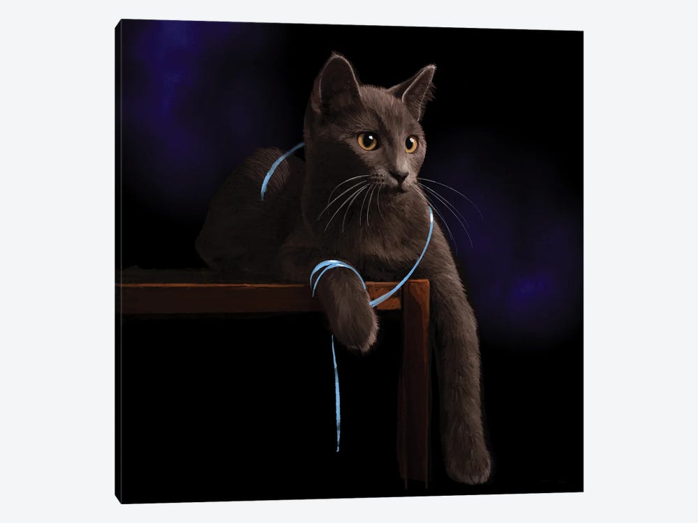 Cat Playing With A Blue Ribbon by Thomas Little 1-piece Canvas Art Print
