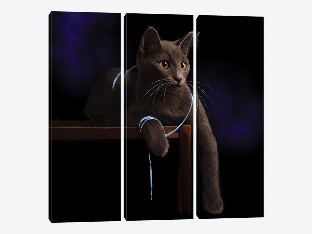 Cat Playing With A Blue Ribbon by Thomas Little 3-piece Canvas Art Print