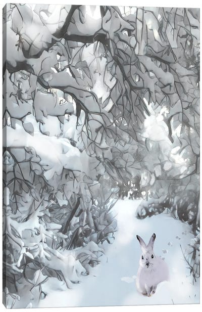 Snow Haven Snowshoe Hare Canvas Art Print - Snow Art