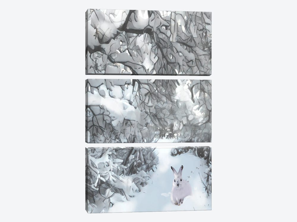 Snow Haven Snowshoe Hare by Thomas Little 3-piece Canvas Artwork