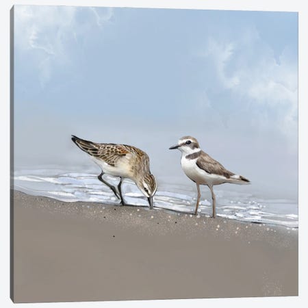 Seaside Shorebirds Canvas Print #TLT281} by Thomas Little Canvas Print