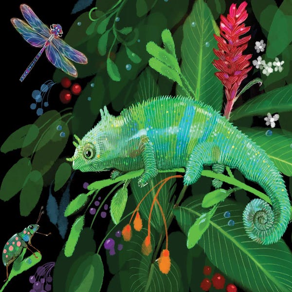 Chameleons: Green Chameleon by Thomas Little