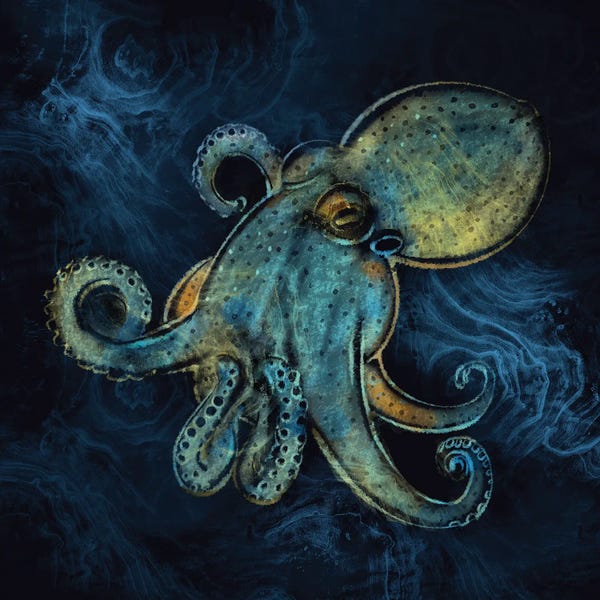 Thomas Little: Mykonos Octopus by Thomas Little