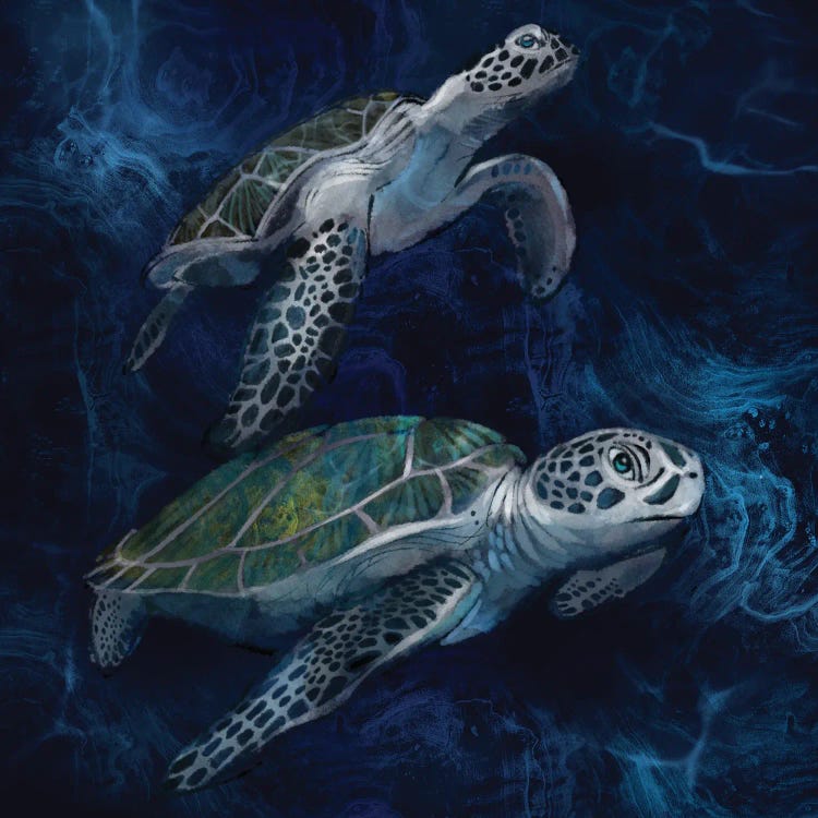 Green Sea Turtles by Thomas Little wall art