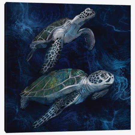 Green Sea Turtles Canvas Print #TLT286} by Thomas Little Canvas Wall Art
