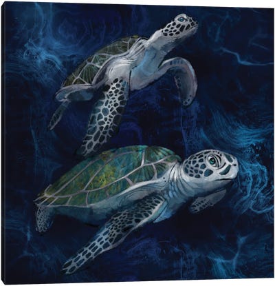 Green Sea Turtles Canvas Art Print - Thomas Little