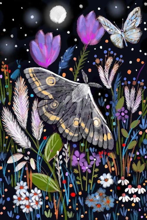 Moth And The Midnight Garden by Thomas Little wall art