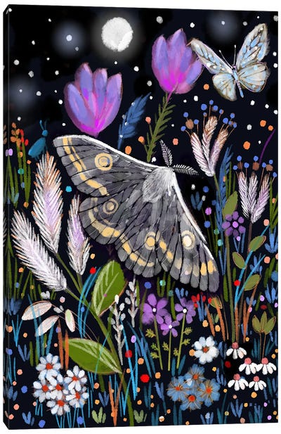 Moth And The Midnight Garden Canvas Art Print - Thomas Little