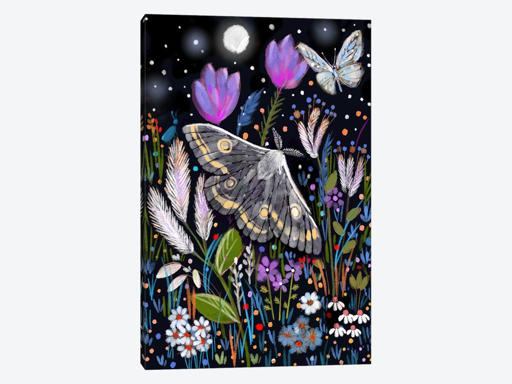 Moth And The Midnight Garden by Thomas Little 1-piece Canvas Art Print