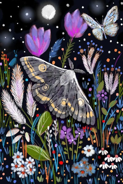 Moths: Moth And The Midnight Garden by Thomas Little