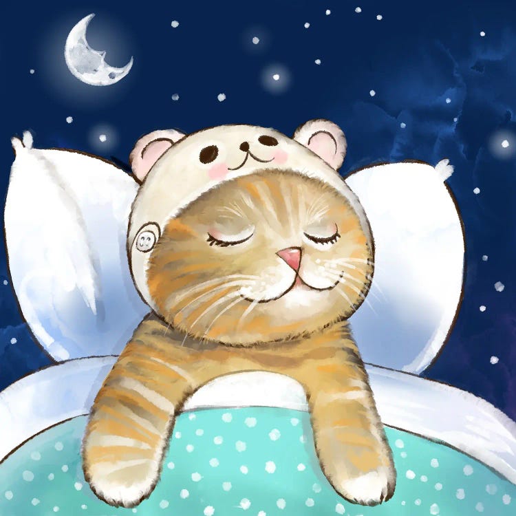 Kitten Dreaming By Starlight