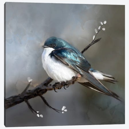 Little Bird On A Perch Canvas Print #TLT294} by Thomas Little Canvas Print