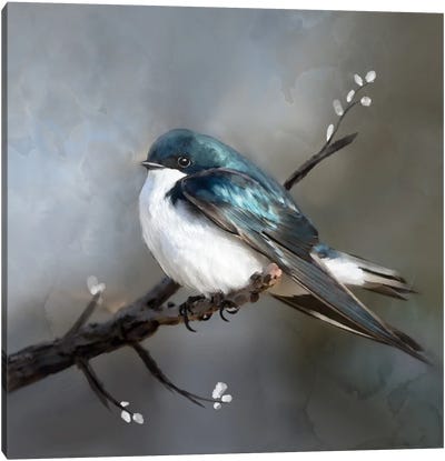 Little Bird On A Perch Canvas Art Print - Thomas Little
