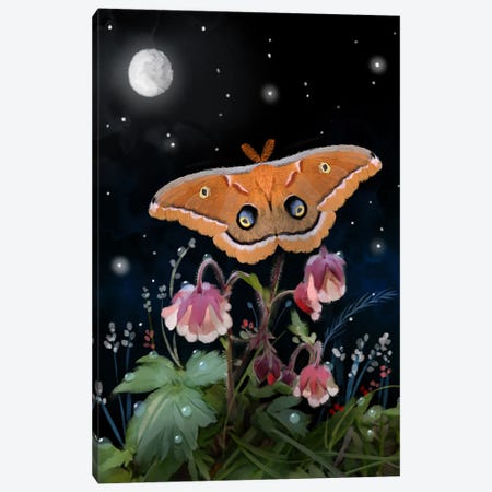 Moth In A Magical Moment Canvas Print #TLT295} by Thomas Little Canvas Art Print