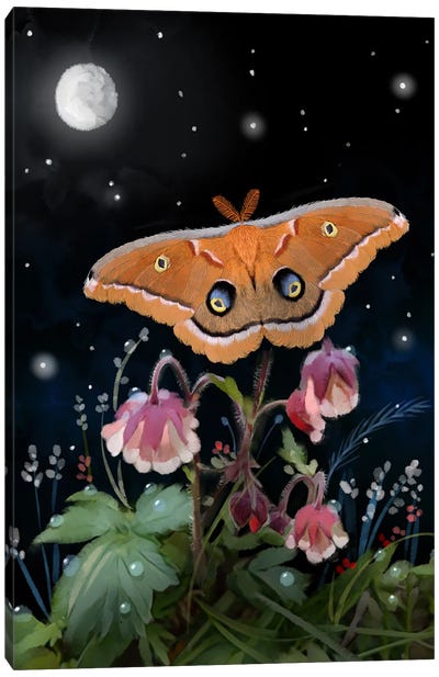 Moth In A Magical Moment Canvas Art Print - Thomas Little