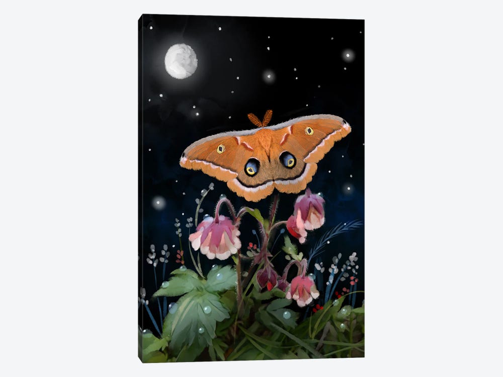Moth In A Magical Moment by Thomas Little 1-piece Canvas Art