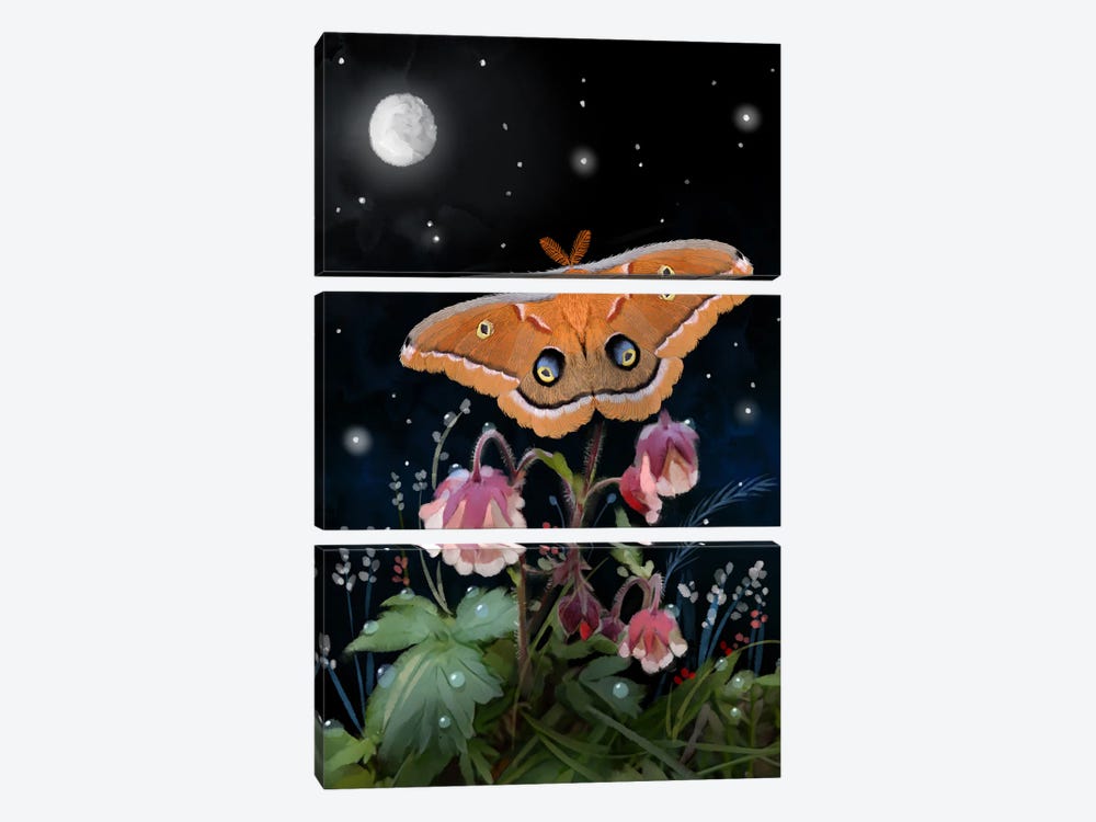 Moth In A Magical Moment by Thomas Little 3-piece Canvas Artwork