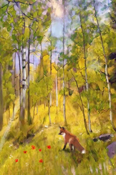 Thomas Little: Little Fox In Aspen Forest by Thomas Little