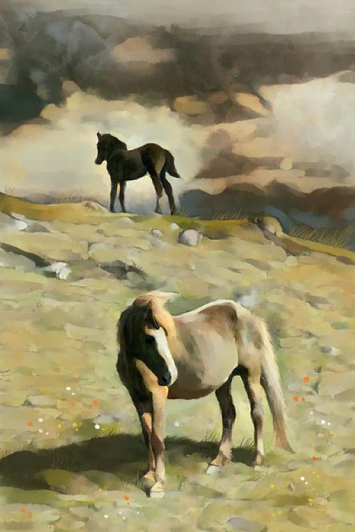 Pony On A Hill