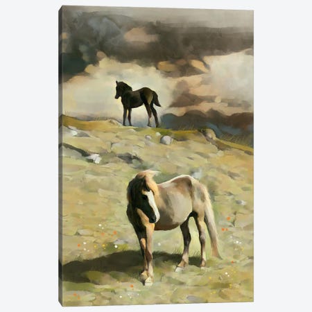Pony On A Hill Canvas Print #TLT299} by Thomas Little Canvas Artwork