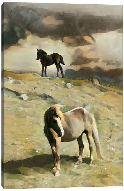 Pony On A Hill Canvas Art Print - Thomas Little