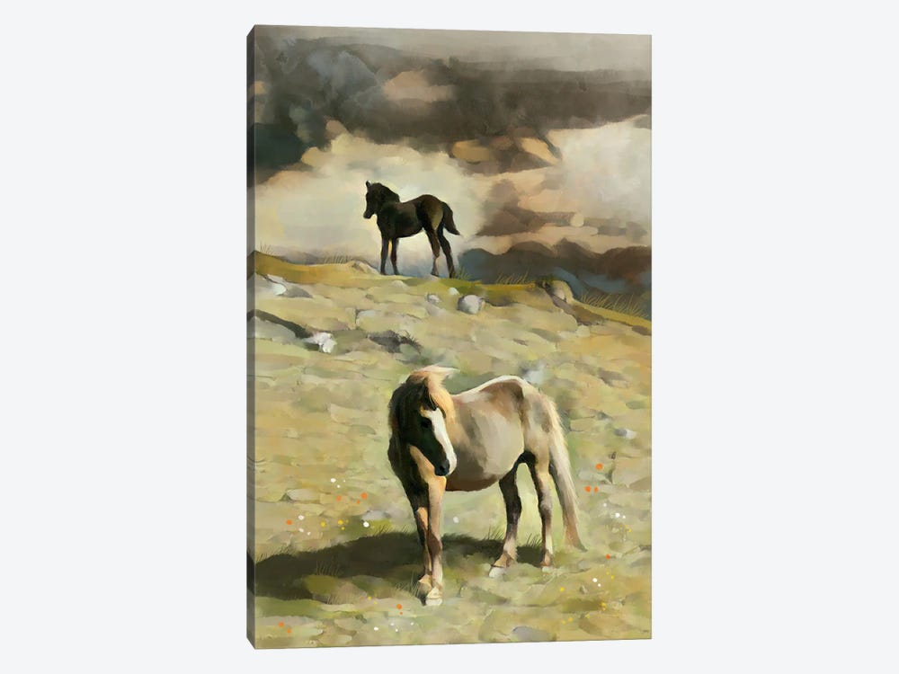 Pony On A Hill by Thomas Little 1-piece Canvas Artwork