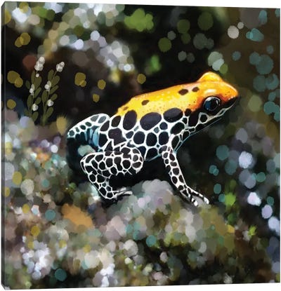 Dart Frog in Digital World Canvas Art Print - Frog Art