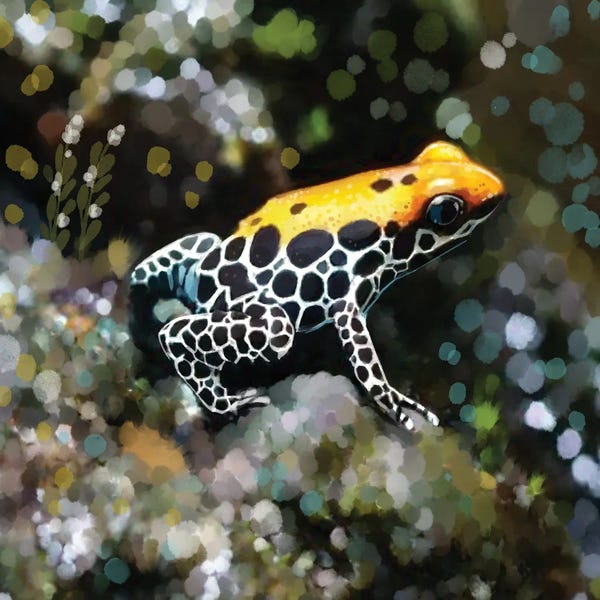 Frogs: Dart Frog in Digital World by Thomas Little