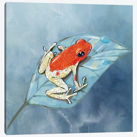 Dart Frog in the Jungle Canvas Print #TLT30} by Thomas Little Canvas Artwork