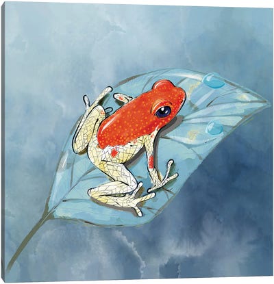 Dart Frog in the Jungle Canvas Art Print - Thomas Little
