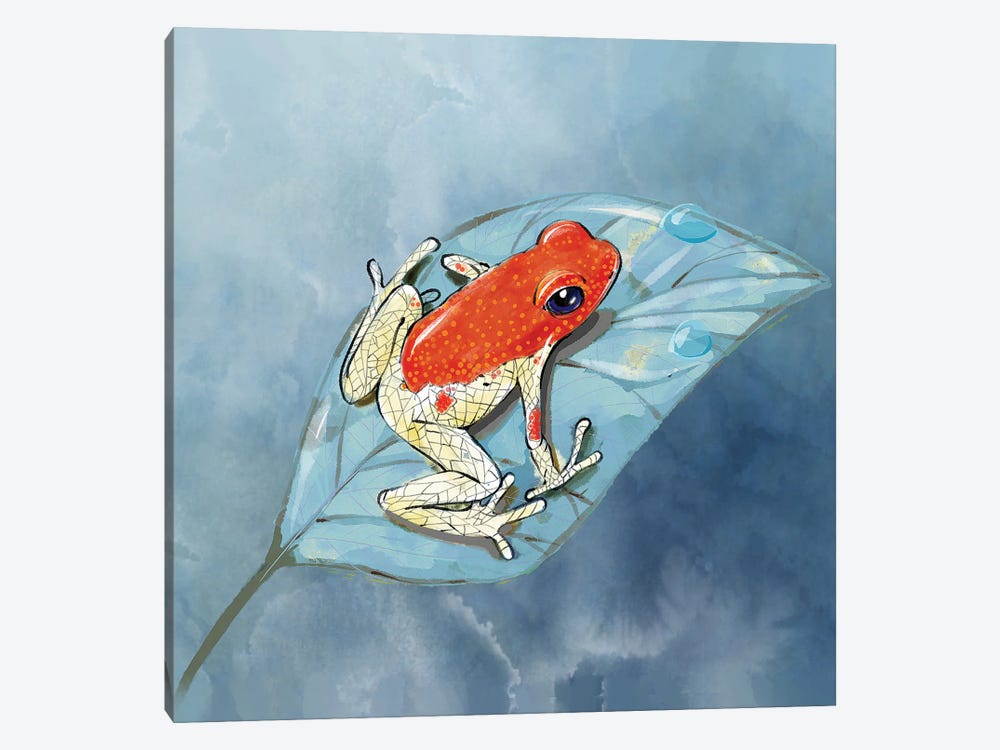Dart Frog in the Jungle by Thomas Little 1-piece Canvas Artwork