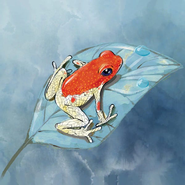 Thomas Little: Dart Frog in the Jungle by Thomas Little
