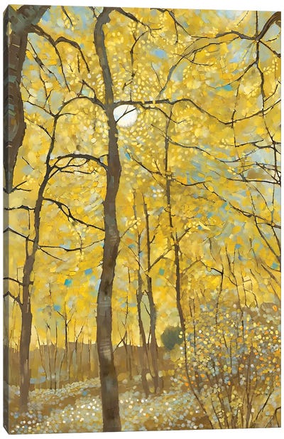 Aspen Forest Canvas Art Print