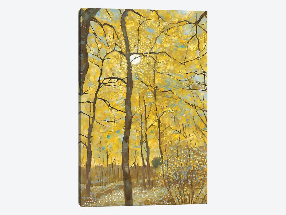 Aspen Forest by Thomas Little 1-piece Canvas Art Print