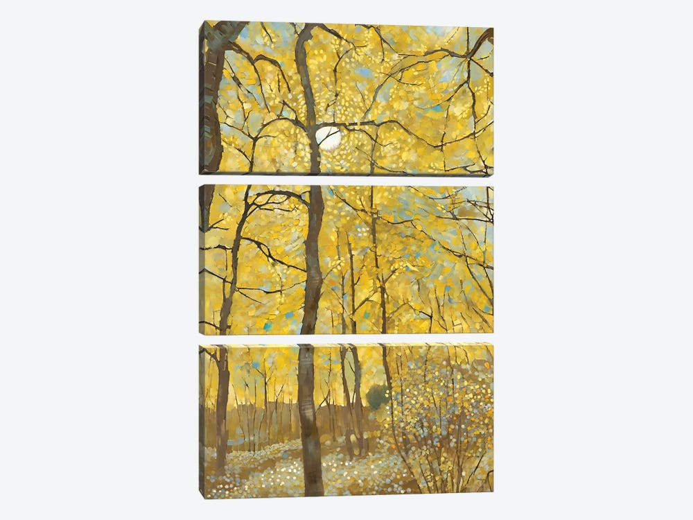 Aspen Forest by Thomas Little 3-piece Canvas Art Print