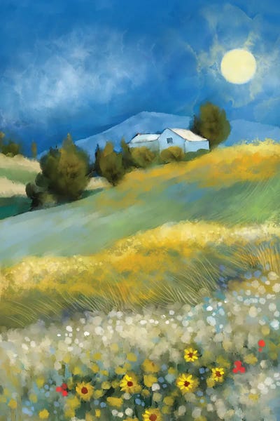 Sunflower Sunrise by Thomas Little framed canvas print